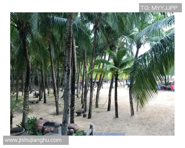 足球明星背影头像展现球场魅力 每一刻都充满动感与激情 足球明星背影头像展现球场魅力 每一刻都充满动感与激情